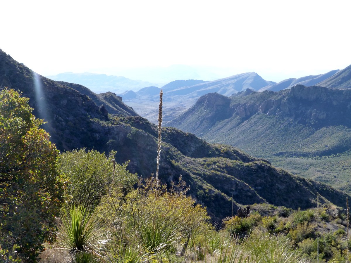 Big Bend National Park, South&nbsp;Texas
