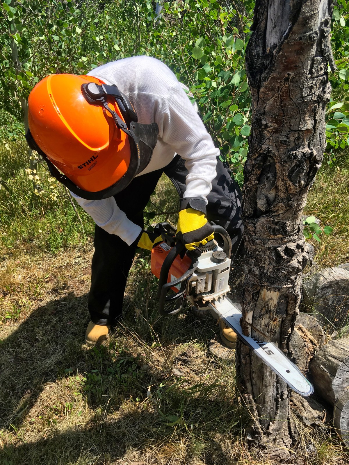 Girls Just Wanna Have&nbsp;Fun!