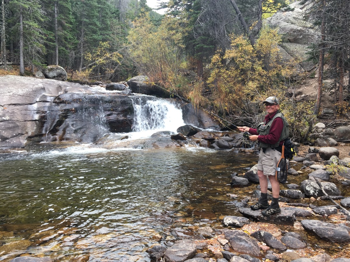 2016 – A Pictoral&nbsp;Review